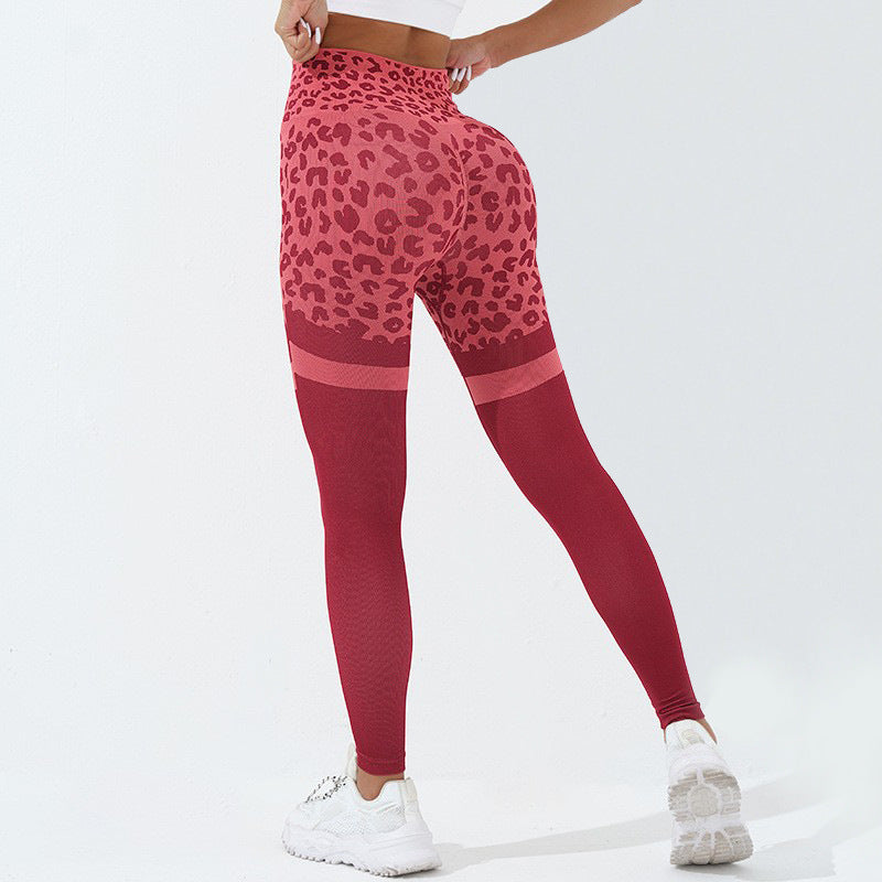 Leopard Print Fitness Pants For Women High Waist Butt Lifting Seamless Leggings Elastic Running Sport Training Yoga Pants Gym Outfits Clothing - Onouthati